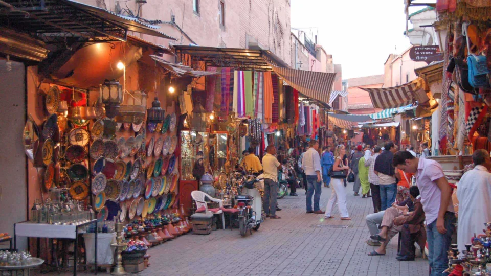 68ee573cb5fbb053671669
