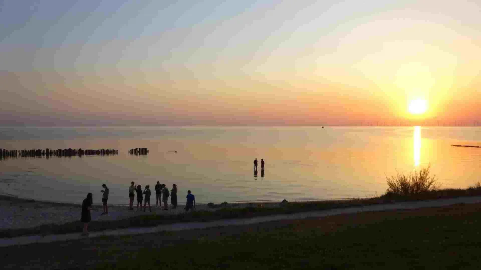 62f3c3acd343d962020335